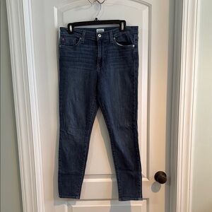 Hudson Jeans Blue Skinny Jeans